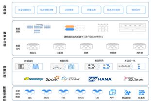 临床大数据的医院级数据处理 应用基石与变现前奏